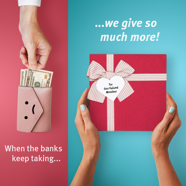 Stanford Credit Union Loan